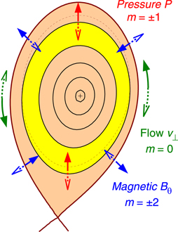 Schematic of the GAM poloidal structure in a diverted tokamak plasma configuration. The principle components are: green = v⊥ flow (m = 0); red = pressure (up–down asym. m = ±1), blue = magnetic Bθ (m = ±2 up/down & in/out asym.).