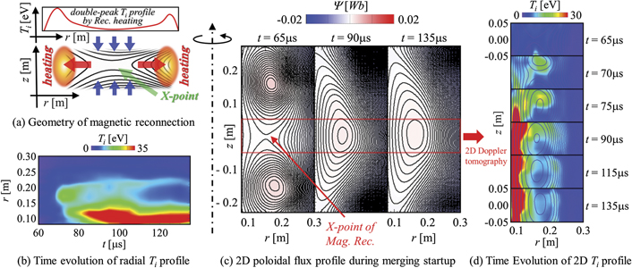 Ion heating through plasma merging and magnetic reconnection. Based on outflow heating mechanism, magnetic reconnection heats ions in the downstream region of outflow jet to form radially double-peak Ti profile. In high guide field condition (Bt ∼ 5Brec), cross-field radial heat transport is strongly suppressed with the weight of {\kappa }_{{\Vert}}^{i}/{\kappa }_{\perp }^{i}\sim 2{({\omega }_{ci}{\tau }_{ii})}^{2}\gg 1 and the merging startup ST sustains the characteristic hollow ion temperature profile after the end of merging.