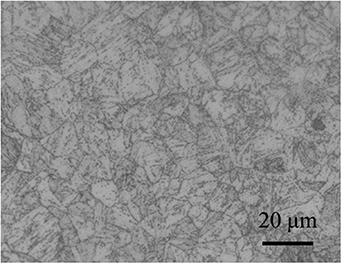 Optical metallograph of CLAM steel surface etched by picric acid.