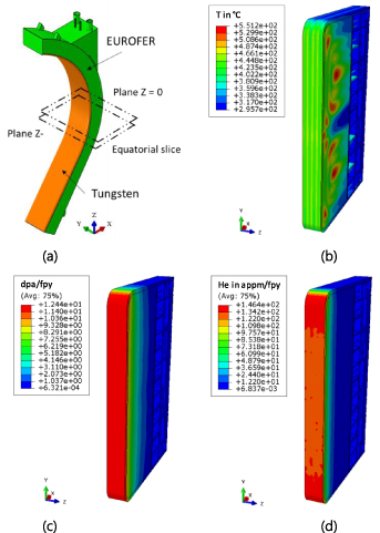 (a) WCLL blanket segment with the position of the equatorial slice. (b)–(d) Temperature, dpa rate and He generation rate distribution in the equatorial slice, respectively.