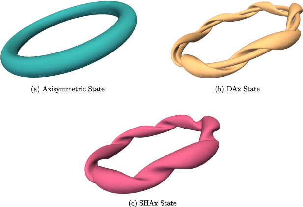 Flux surfaces of different self-organized states.