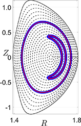 Trajectories of a passing particle and a trapped banana particle, obtained using both the full orbit (blue curves) and guiding-centre (red curves) versions of TAPaS.