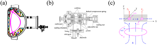 (a) Installation location of the MGI system on EAST. (b) Cross-sectional view of the fast valve. (c) Schematic of eddy-current repulsion in the fast valve.