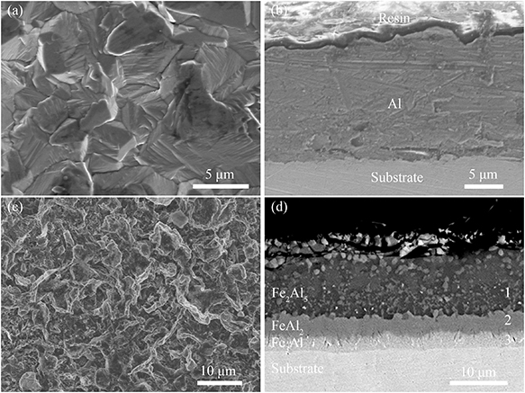Surface and cross-sectional SEM images of the Al coated sample (a)–(b) and the aluminized sample (c)–(d).