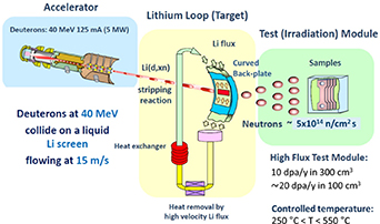 IFMIF-DONES facility schematic drawing.