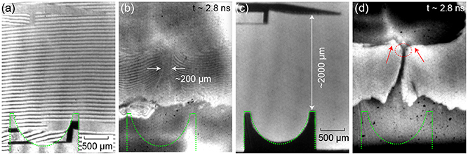 Experimental results for the interaction between Au jet and CH target. Panel (a) depicts a static Nomarski interferometer image of an Au half-cylinder and a plane CH target before laser irradiation, while panel (b) illustrates the interferometer image showing the distribution of Au and CH plasma at t = 2.8~\mathrm{ns}. Similarly, panels (c) and (d) present the corresponding experimental results for shadowgraphy.