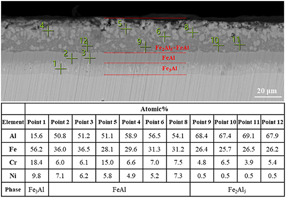 EDS results of the cross section of the sample aluminized at 650 °C for 2 h and heat treated at 700 °C for 50 h.