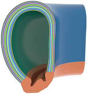 A sixteen layer CAD (Computer Aided Design) model created from equations (1–5). The bottom orange section represents the divertor, the inner most layer in green represents the first-wall and the additional segments expanding outwards towards the final blue segment represent each layer of the blanket. In all instances the first-wall and the divertor were assigned to be tungsten throughout the study.