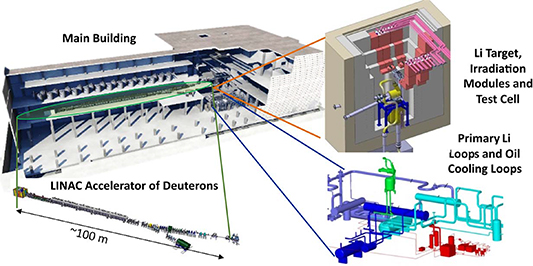 Descriptive lay-out of the facility with the distribution of its main Group of Systems: (i) Accelerator, (ii) Lithium Target and Systems, (iii) Test Cell and Irradiation Modules.