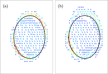 Velocity vectors in a poloidal plane: (a) MHD simulation, (b) KTI simulation. The black solid line represents the q = 1 surface.