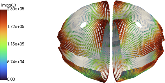 Example of three-dimensional eddy current response computed using ThinCurr for the LTX-β shell geometry. The arrows indicate the eddy currents generated in the shell, and are scaled relative to the peak magnitude. This 3D response serves as a physics-informed current pattern used in the hybrid reconstruction workflow.