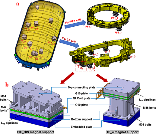 (a) Arrangement of magnet supports in MCTB and diagram of TF and PF1 coil placement. (b) Structure of FIX_OIS and TF_4 magnet support.