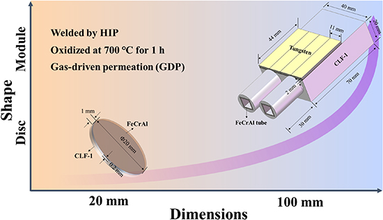 The schematic diagrams illustrating the shape and dimensions of the planar FeCrAl/CLF-1 and FeCrAl/CLF-1 module.