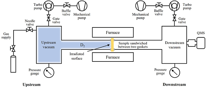 A schematic diagram of the gas-driven permeation device and the irradiated face of the W sample were set to D2 upstream.