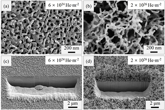 Surface and cross-section SEM images of He-induced fuzz structure. (a) and (c) Sample after 6 × 1024 He∙m−2 irradiation. (b) and (d) Sample after 2 × 1026 He∙m−2 irradiation.
