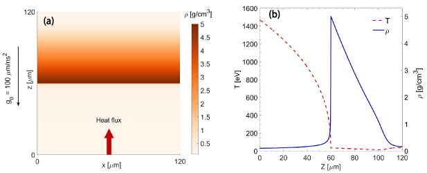(a) The schematic diagram of the simulation setup. (b) The initial density and temperature profiles along the z axis.