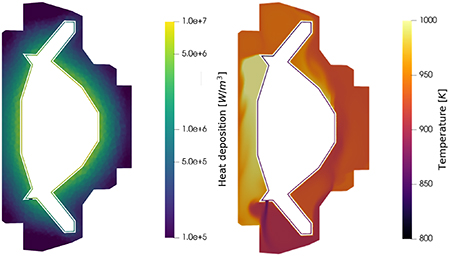 Neutronic heat deposition (in log scale) and temperature profile in the molten salt blanket for the initial guess 800 K neutronic model.