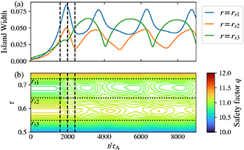 Time evolutions of (a) the m/n = 11/1 island width at three q = 11 rational surfaces and (b) safety factor q profile for the high off-axis T_\mathrm{e} peak cases and \eta = 5.0\times10^{-6}. The horizontal dotted lines in (b) shows the positions of the three q = 11 rational surfaces at the initial q profile. The three vertical dashed lines indicate the times at which the helical magnetic flux contours shown in figure 10 were computed.