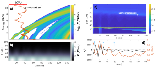 Temporal evolution of the acceleration: (a) Electron energy spectrum along the propagation distance. In (b) the axially averaged laser field modulus is shown, where the periodic focusing and defocusing of the laser pulse along the plasma channel is clearly visible. Each focusing triggers an injection event. The history of the axial density profile (\mathrm{log}_{10}[n_\mathrm e] with units of \mathrm m^{-3}) of the nonlinear wakefield is shown in (c), where the horizontal stripes correspond to the injected electron bunches moving with nearly the speed of light. (d) The peak electric field in the back of the bubble is shown by the red line, while the velocity of the node of the wave (phase velocity of the plasma wave) is shown by the black line. As indicated by the blue arrows, self-injection occurs, when the electric field is strong enough and the phase velocity is sufficiently low.