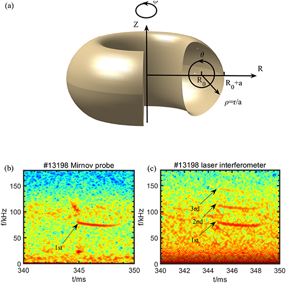 (a) Schematic diagram of a tokamak plasma, where φ indicates the toroidal direction, θ indicates the poloidal direction, and ρ indicates the radial direction. Here, \rho = r/a is the normalized minor radius, with r being the minor radius coordinate and a the plasma minor radius. R is the plasma major radius coordinate, and R0 is the plasma major radius. (b) Spectrum of the Mirnov probe signal for shot #13 198. (b) Spectrum of the laser interferometer signal for the same shot. The black arrows indicate the harmonic orders of the instability.